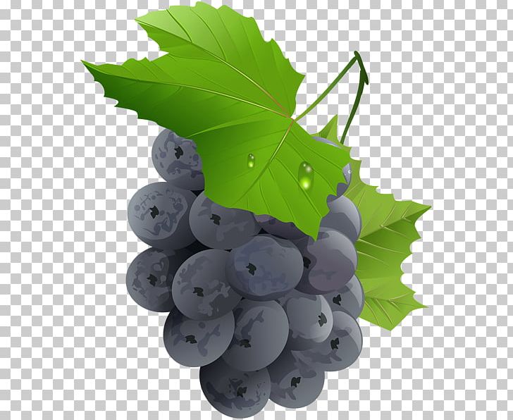 Grape Fruit PNG, Clipart, Art, Bilberry, Clip, Clip Art, Flowering Plant Free PNG Download