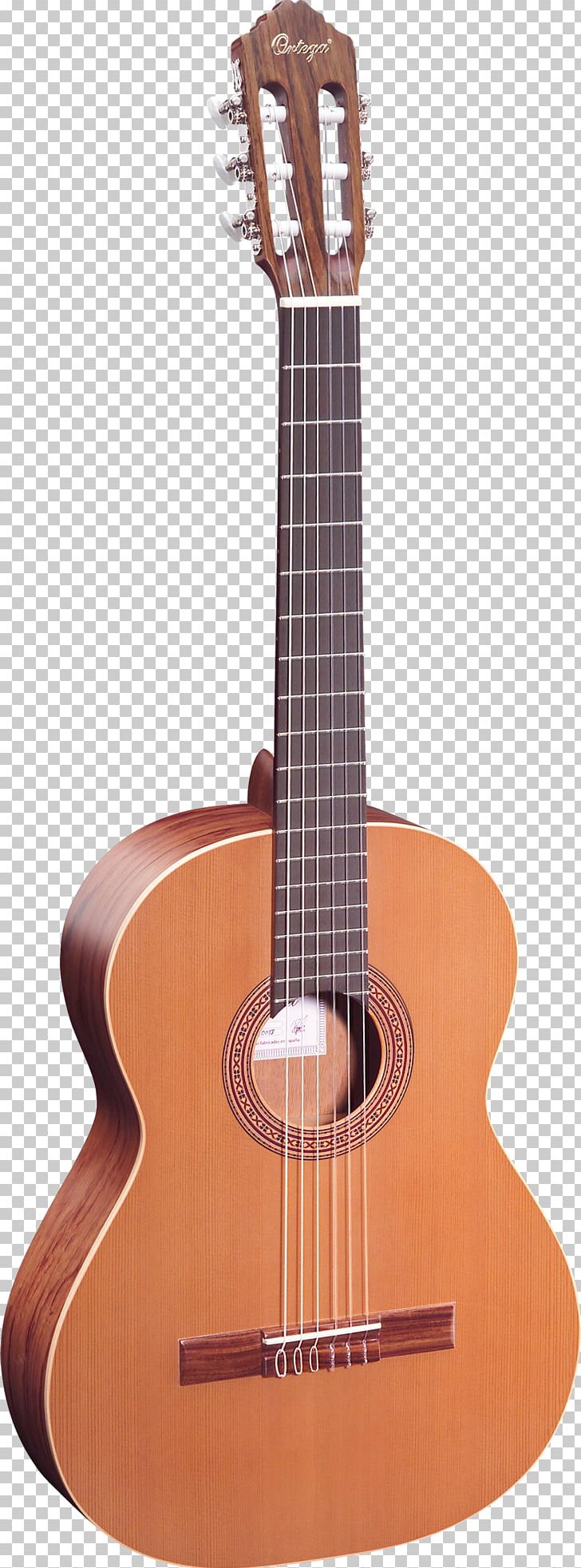 Steel-string Acoustic Guitar Classical Guitar Acoustic-electric Guitar PNG, Clipart, Amancio Ortega, Classical Guitar, Cuatro, Cutaway, Guitar Accessory Free PNG Download