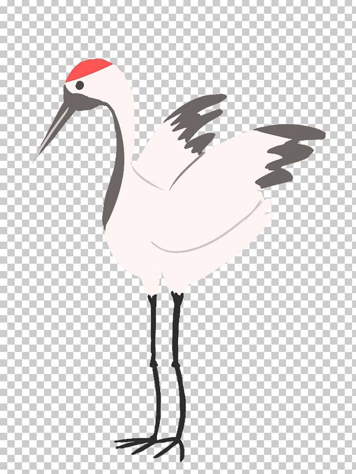 White Stork Bird Wader Beak Ibis PNG, Clipart, Animals, Beak, Bird, Ciconiiformes, Crane Free PNG Download