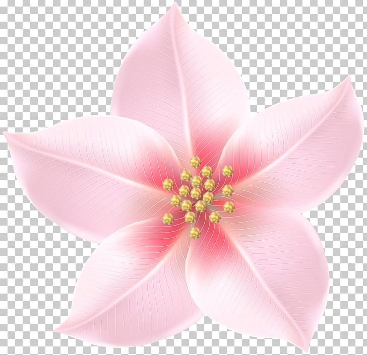 Pink M PNG, Clipart, Blossom, Flower, Flowers, Gold, Petal Free PNG Download