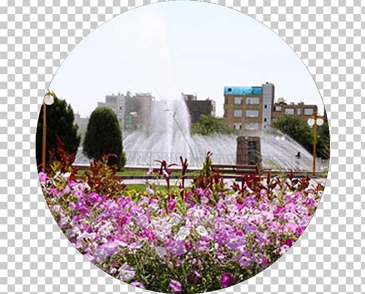 Hedayat Hejab Park Venan Kohandan گروه گردشگری و مشاوره سفر مسافر سلام Babol PNG, Clipart, Botanical Garden, Flora, Flower, Garden, Hotel Free PNG Download