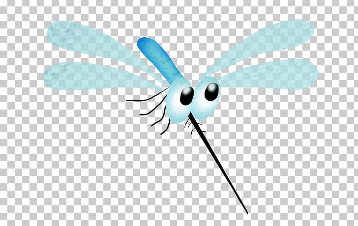 Butterfly Bloodsucking Mosquitoes PNG, Clipart, Animation, Arthropod, Bloodsucking Mosquitoes, Butterfly, Computer Free PNG Download