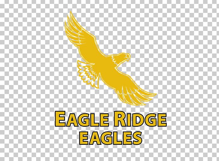 Eagle Ridge Elementary School Student Spiritridge Elementary School PNG, Clipart, Beak, Bellevue School District, Bird, Brand, Education Free PNG Download