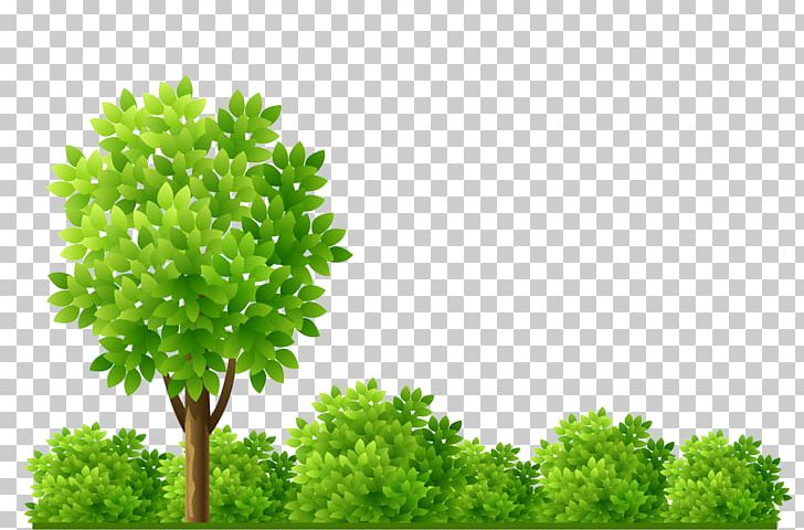 Garden Shrub Tree Illustration PNG, Clipart, Branch, Cartoon, Christmas Tree, Coconut Tree, Ecosystem Free PNG Download