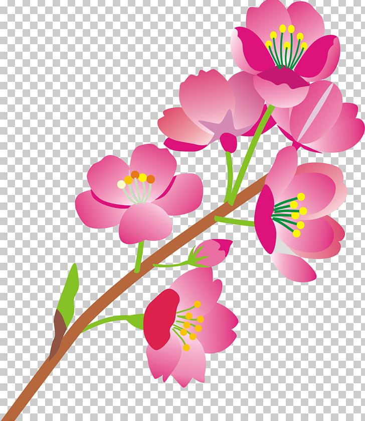 Windows Thumbnail Cache Flower Floral Design 0 PNG, Clipart, 2008, Afternoon, Annual Plant, Blossom, Branch Free PNG Download