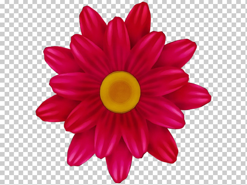 Petal Pink Flower Gerbera Barberton Daisy PNG, Clipart, Barberton Daisy, Flower, Gazania, Gerbera, Magenta Free PNG Download