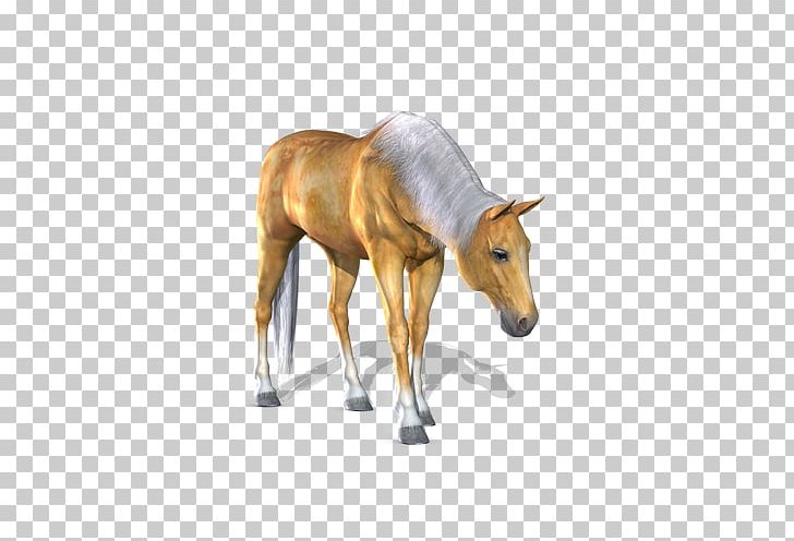American Paint Horse PNG, Clipart, Animal, Animals, Bow, Bows, Bow Tie Free PNG Download