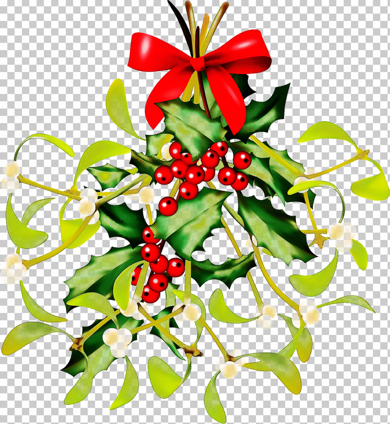Christmas Decoration PNG, Clipart, Christmas Decoration, Flower, Holly, Plant Free PNG Download