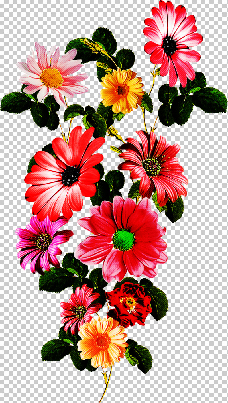 Floral Design PNG, Clipart, Annual Plant, Chrysanthemum, Cut Flowers, Dahlia, Family Free PNG Download