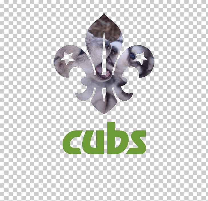 Chicago Cubs Cub Scout Beavers Scout Group Scouting PNG, Clipart, 2017 Chicago Cubs Season, Beavers, Beaver Scouts, Bharat Scouts And Guides, Brand Free PNG Download