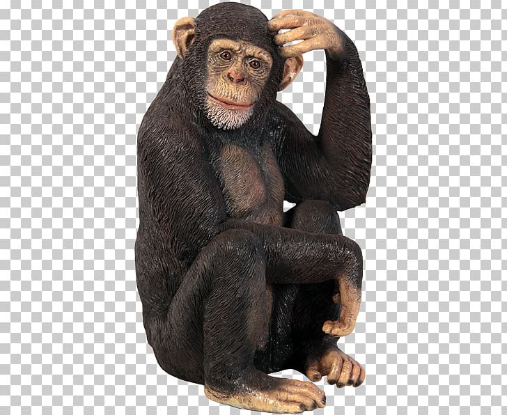 Chimpanzee Orangutan Gorilla Baby Chimp Garden PNG, Clipart, Animals, Art, Baby, Baby Chimp, Chimp Free PNG Download