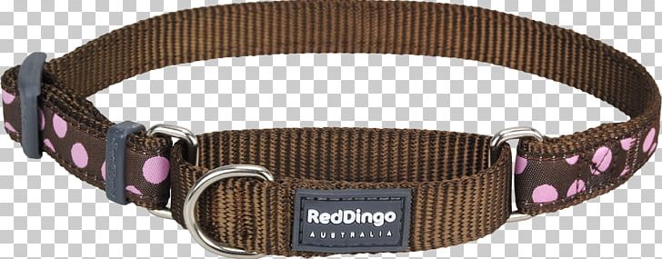 Dingo Dog Collar German Shepherd Martingale PNG, Clipart, Belt, Blue, Brown, Buckle, Cat Free PNG Download