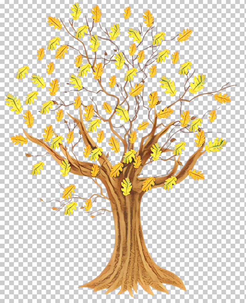 Tree Branch Yellow Plant Woody Plant PNG, Clipart, Branch, Flower, Leaf, Plant, Plant Stem Free PNG Download