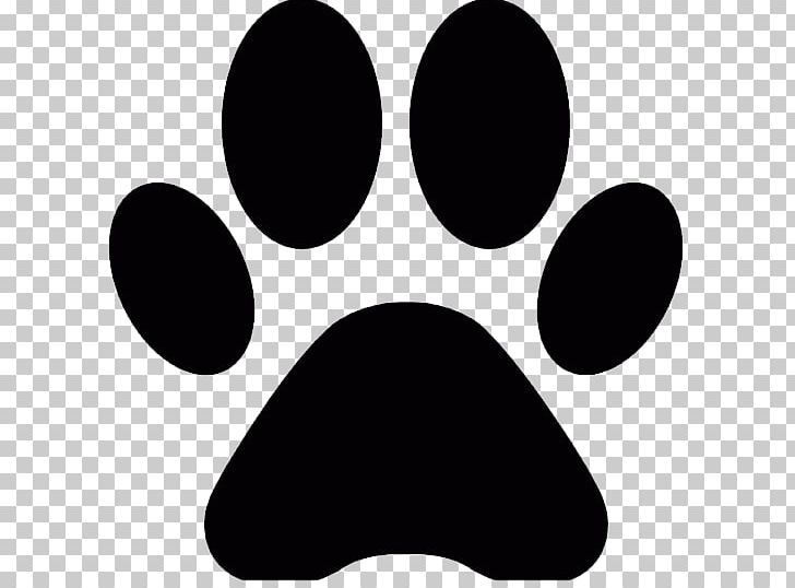 Cat Dog Paw PNG, Clipart, Animals, Animal Track, Black, Black And White, Black Cat Free PNG Download