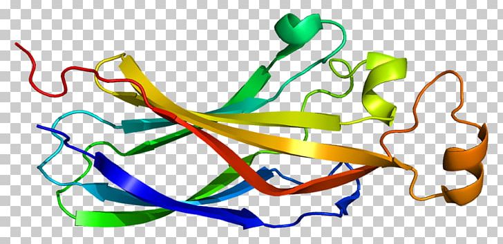 ASF1A Chaperone Protein Histone Gene PNG, Clipart, 1 A, Art, Artwork, Asf, Chaperone Free PNG Download
