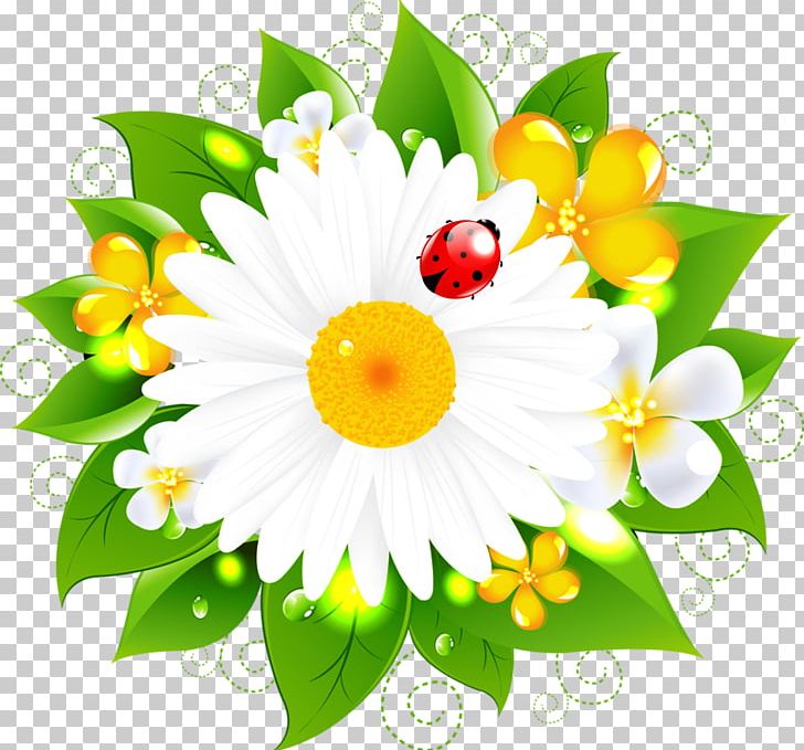 Flower Stock Photography PNG, Clipart, Child, Class, Clip Art, Dahlia, Daisy Family Free PNG Download