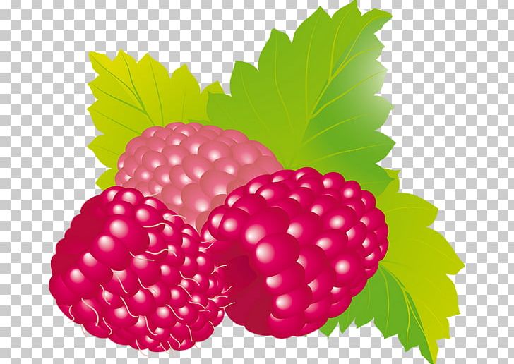 Raspberry Fruit Boysenberry Strawberry PNG, Clipart, Amora, Auglis, Berry, Blackberry, Boysenberry Free PNG Download