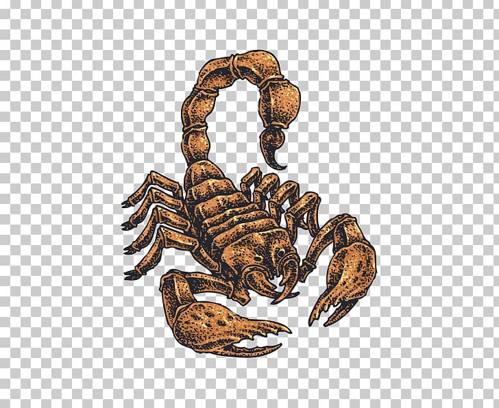 Bumper Sticker Dungeness Crab Decal Polyvinyl Chloride PNG, Clipart, Animal, Animal Source Foods, Arachnid, Arthropod, Bumper Sticker Free PNG Download