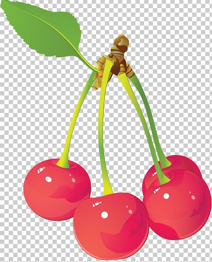 Juice Fruit Cherry PNG, Clipart, Cherry, Food, Fruit, Fruit Nut, Grape Free PNG Download