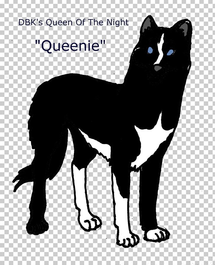 Whiskers Karelian Bear Dog Dog Breed Cat PNG, Clipart, Animals, Bear, Black And White, Breed, Carnivoran Free PNG Download