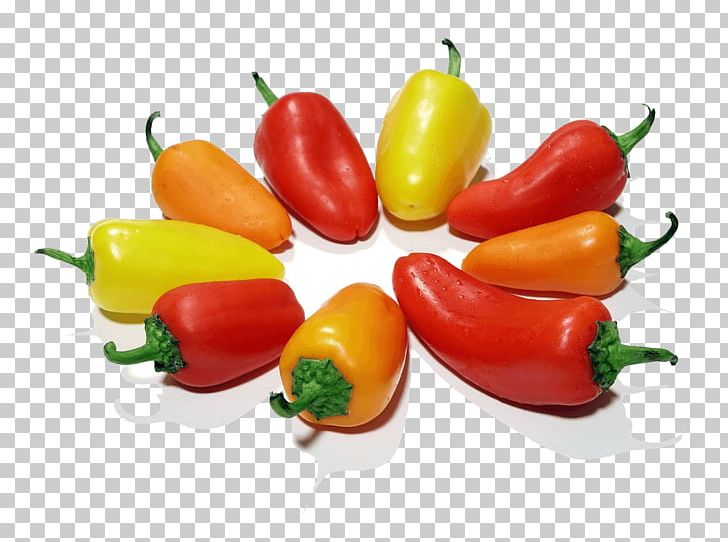 Bell Pepper Chili Pepper Orange Food Vegetable PNG, Clipart, Bell Pepper, Birds Eye Chili, Cayenne Pepper, Chili Pepper, Food Free PNG Download