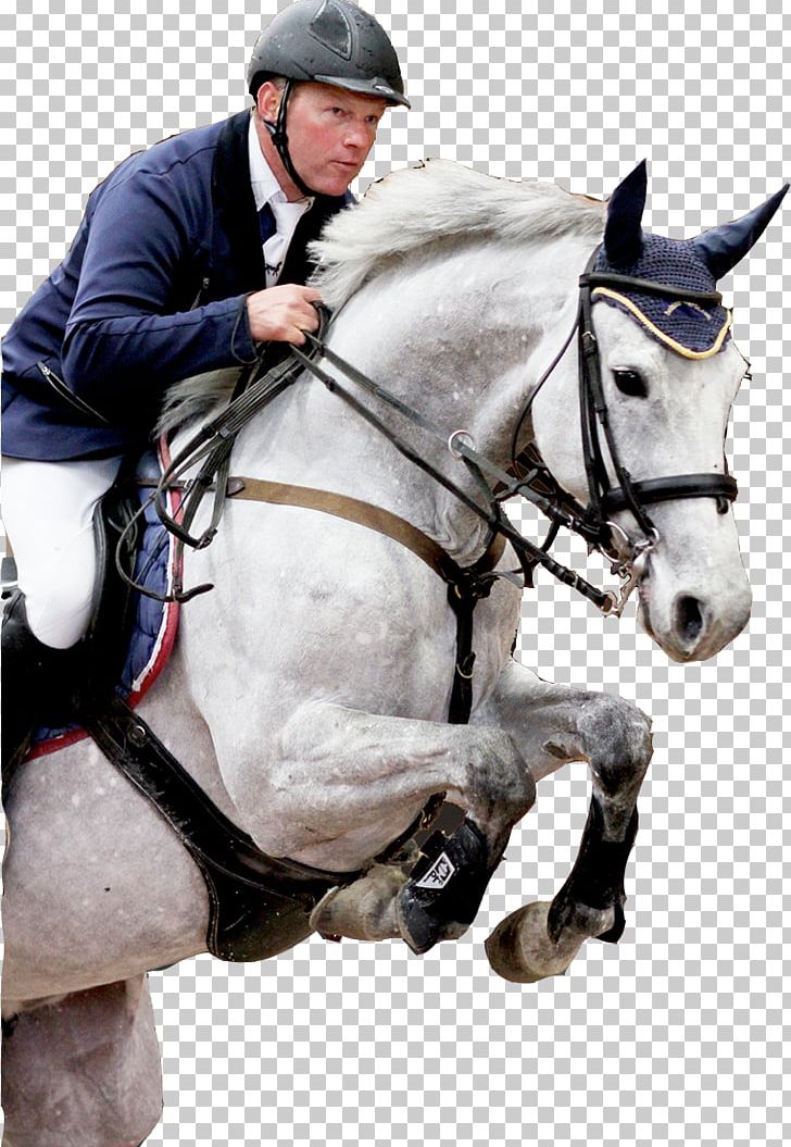 Show Jumping Stallion Hanoverian Horse Holsteiner Württemberger PNG, Clipart, Animal Training, Bridle, Hobby, Horse, Horse Harness Free PNG Download