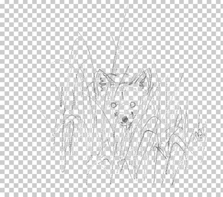 Whiskers Line Art Cartoon White Sketch PNG, Clipart, Artwork, Black And White, Branch, Carnivoran, Cartoon Free PNG Download