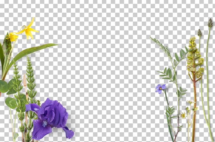 Flower Irises PNG, Clipart, Blue, Computer Icons, Computer Wallpaper, Cut Flowers, Decorative Free PNG Download