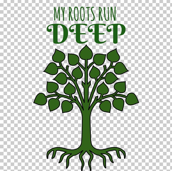 Root Woody Plant Tree PNG, Clipart, Ancestry, Arabidopsis, Branch, Deep, Diagram Free PNG Download