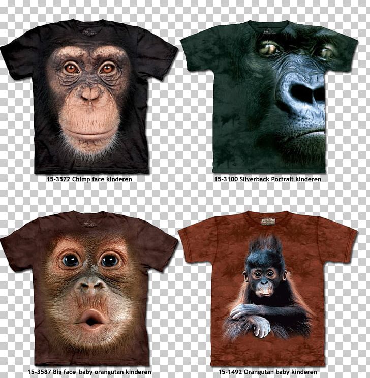 T-shirt Orangutan Clothing Top PNG, Clipart, Adult, Animal, Child, Chimpanzee, Clothing Free PNG Download