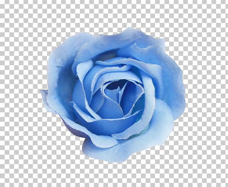 Blue Rose Beach Rose Centifolia Roses PNG, Clipart, Blue, Blue Abstract, Blue Background, Blue Border, Blue Flower Free PNG Download