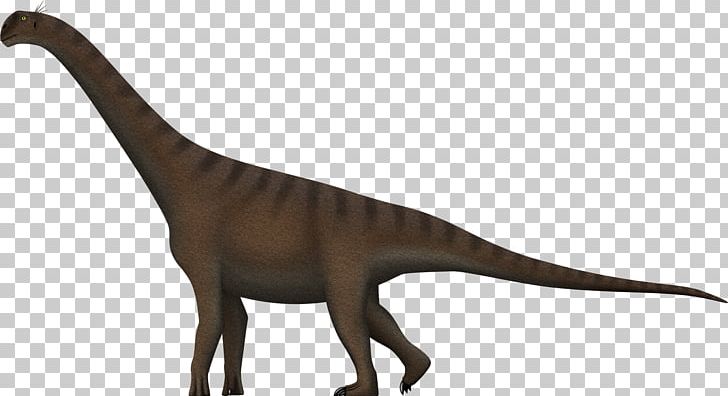 Camarasaurus Brachiosaurus Cedarosaurus Barosaurus Velociraptor PNG, Clipart, Animal, Animal Figure, Barosaurus, Barremian, Brachiosaurus Free PNG Download