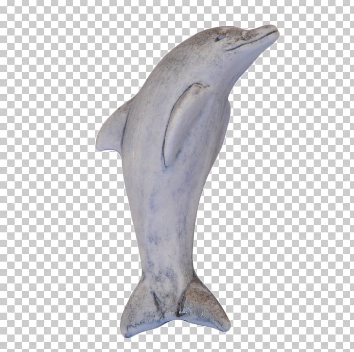 Common Bottlenose Dolphin Tucuxi Short-beaked Common Dolphin PNG, Clipart, Animals, Beak, Bottlenose Dolphin, Common Bottlenose Dolphin, Dolphin Free PNG Download