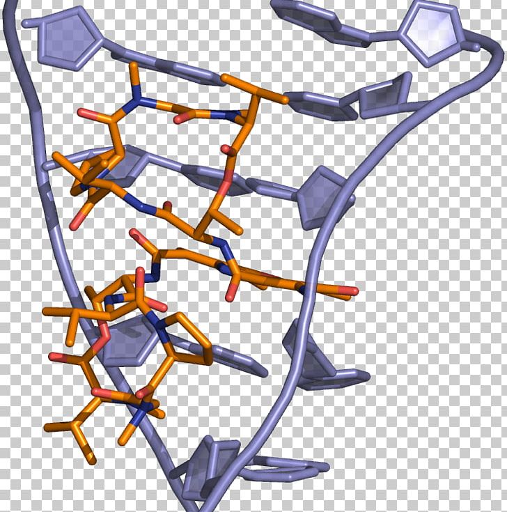 Dactinomycin DNA-binding Domain Intercalation Doxorubicin PNG, Clipart, Angle, Chemotherapy, Cisplatin, Cytarabine, Dactinomycin Free PNG Download