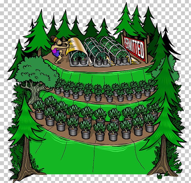 Emerald Triangle Reggae On The River Mateel Community Center Hemp Tetrahydrocannabinol PNG, Clipart, Business, Cannabis, Emerald Triangle, Famous Mountain, Grass Free PNG Download