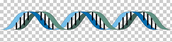 The Double Helix: A Personal Account Of The Discovery Of The Structure Of DNA Epigenetics Biology PNG, Clipart, Biology, Blue, Dna, Electric Blue, Epigenetics Free PNG Download