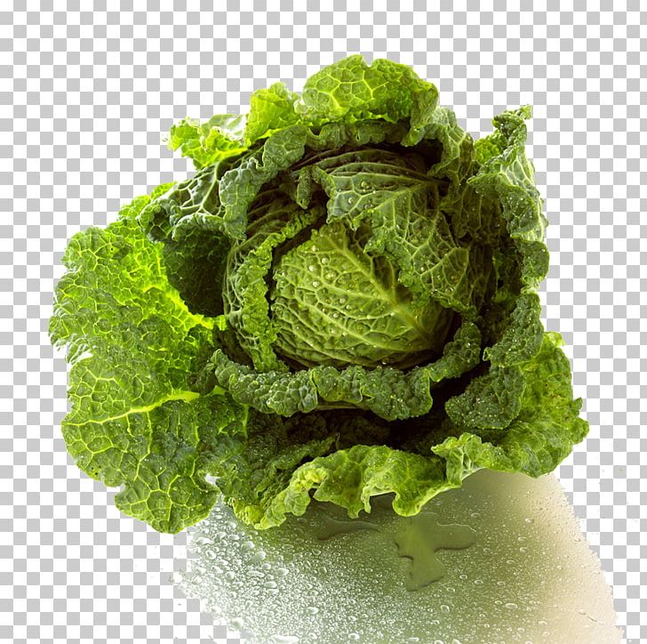 Cabbage Lettuce Vegetable Nutrition PNG, Clipart, Cabbage, Carrot, Chinese, Chinese Border, Chinese Dragon Free PNG Download