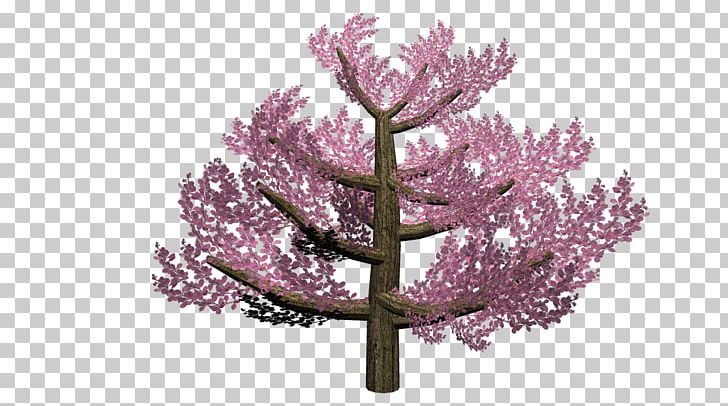 Cherry Blossom Pink M ST.AU.150 MIN.V.UNC.NR AD PNG, Clipart, Blossom, Branch, Cherry, Cherry Blossom, Dev Free PNG Download