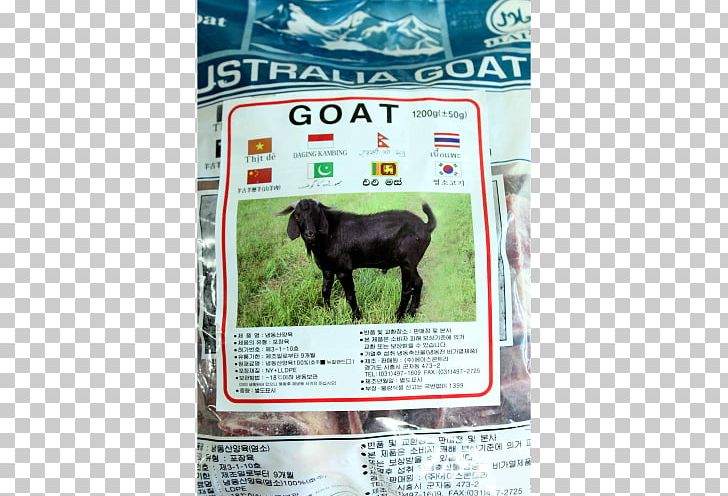 Goat Meat Halal 포린푸드마트 Foreign Food Mart Cattle PNG, Clipart, Cattle, Cattle Like Mammal, Cow Goat Family, Fauna, Food Free PNG Download