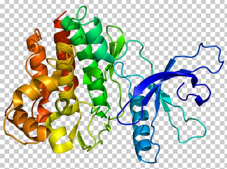 Janus Kinase 2 Janus Kinase 3 Janus Kinase Inhibitor Tyrosine Kinase PNG, Clipart, Area, Artwork, Cell Signaling, Enzyme, Erythropoietin Receptor Free PNG Download