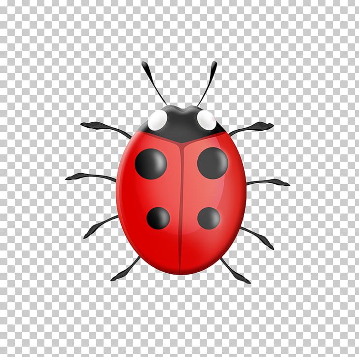 Ladybird Child Drawing PNG, Clipart, Arthropod, Beetle, Cartoon, Child, Drawing Free PNG Download