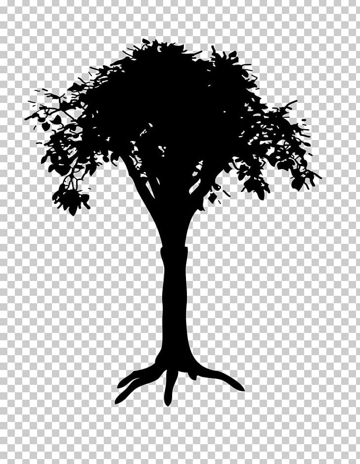 Tree Drawing PNG, Clipart, Black And White, Branch, Computer Wallpaper, Desktop Wallpaper, Diagram Free PNG Download