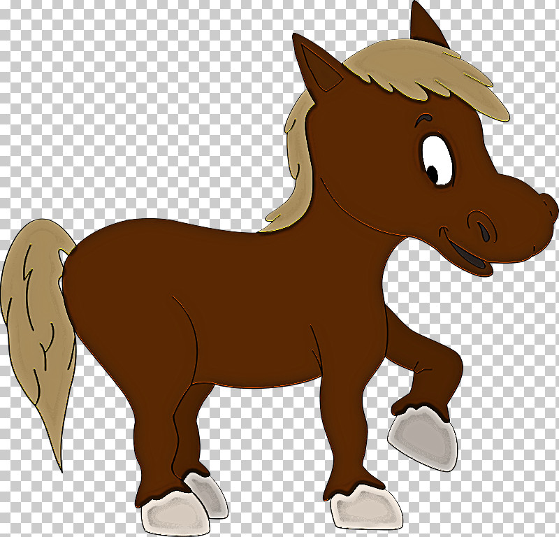 Foal Pony Stallion Mustang Colt PNG, Clipart, Colt, Foal, Halter, Horse, Horse Management Free PNG Download