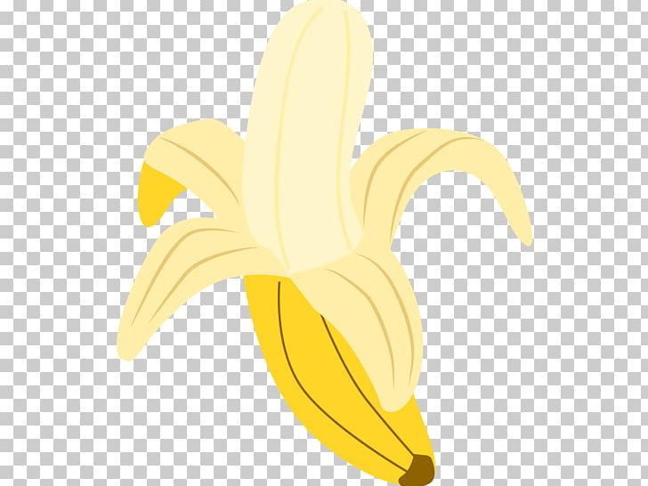 Banana Text Cartoon Illustration PNG, Clipart, Banana, Banana Family, Cartoon, Flower, Flowering Plant Free PNG Download