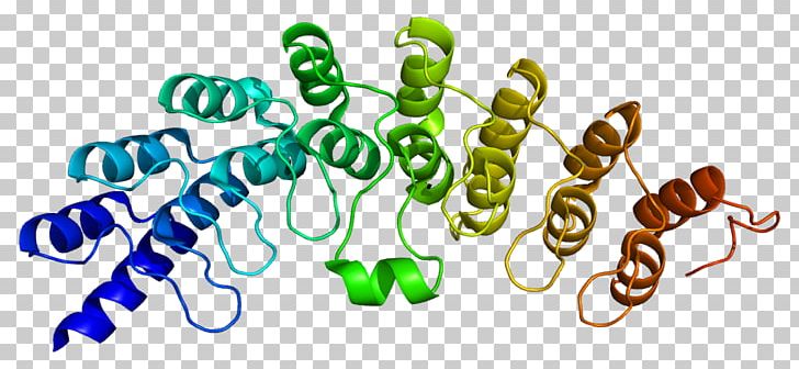 Ribonuclease L Enzyme 2'-5'-oligoadenylate Synthase Interferon PNG, Clipart, 25oligoadenylate Synthase, Cell, Dna, Endoribonuclease, Enzyme Free PNG Download