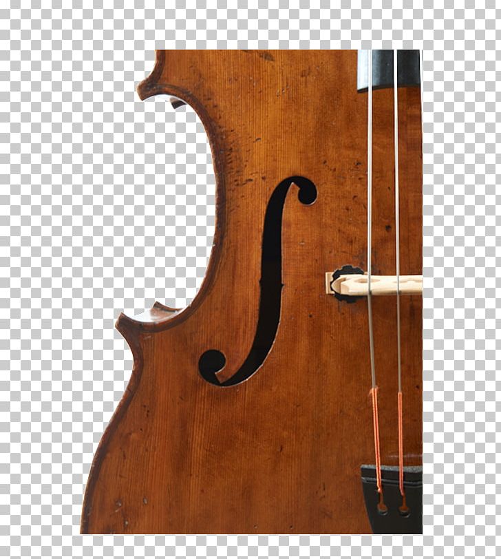 Bass Violin Double Bass Violone Viola Octobass PNG, Clipart, Acoustic Electric Guitar, Acousticelectric Guitar, Acoustic Guitar, Bass, Bass Guitar Free PNG Download
