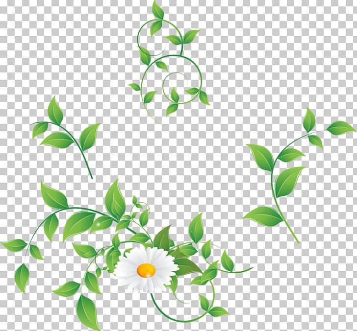 Floral Design Green Flower Stock Photography PNG, Clipart, Alamy, Artwork, Branch, Chamomile, Flora Free PNG Download