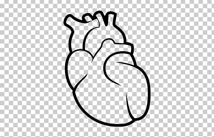 Heart Drawing Circulatory System Human Body Human Anatomy PNG, Clipart, Anatomy, Arm, Art, Black, Broken Heart Free PNG Download