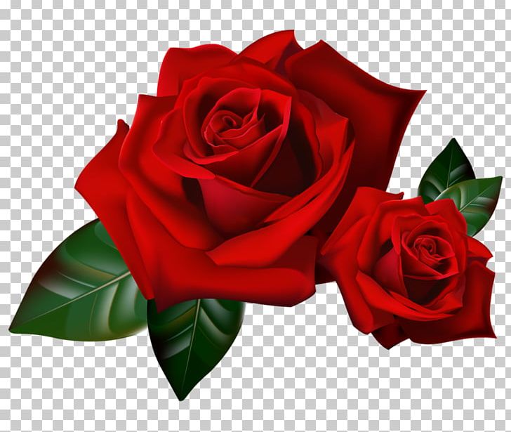 Rose Flower Floral Design PNG, Clipart, Cut Flowers, Desktop Wallpaper, Drawing, Floral Design, Floribunda Free PNG Download