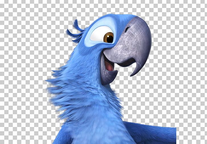 Macaw Parrot Wing Snout Parakeet PNG, Clipart, Adventure Film, Anne Hathaway, Beak, Bird, Blu Free PNG Download